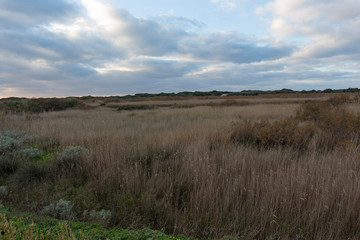 View of countryside in Sardinia during winter