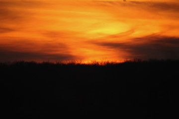 Fototapeta na wymiar Sunset on the Grassy Plains