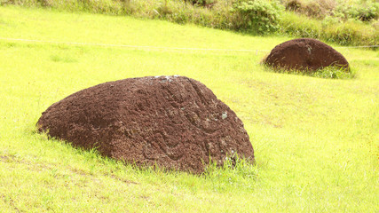 Pukaos en Puna Pau, Isla de Pascua, Chile