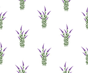 Fototapeta na wymiar Lavender spring floral pattern