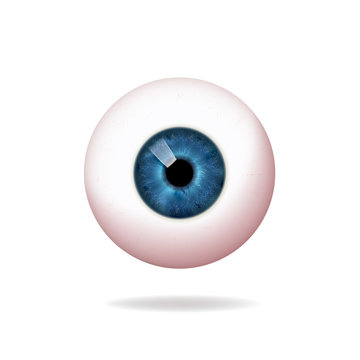 Human blue eyeball, retina, on white background, icon.