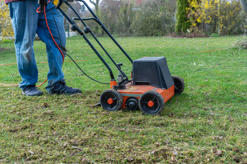 Obraz premium Lawn thatcher in action
