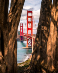 Golden Gate Bridge shot through the trees with light and shadow on the wood grain