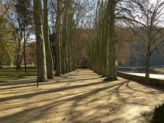 Autumn in the Chamars park - Besançon, France