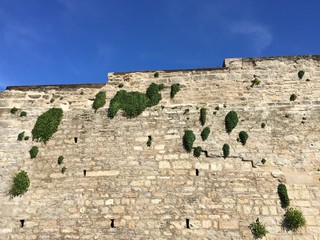 Fototapeta na wymiar The ramparts of the Citadel of Besançon, France
