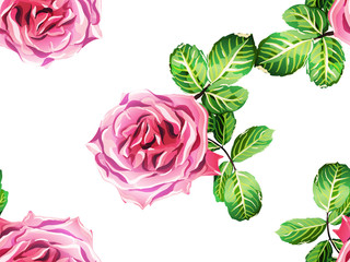 Vector Rose Background.