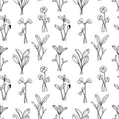 Hand drawn micro greens seamless pattern. Vector illustration in sketch style isolated on white background