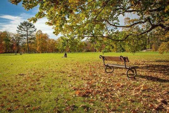 Colorful autumn in one of the Prague parks