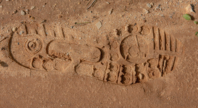Shoe print in the mud