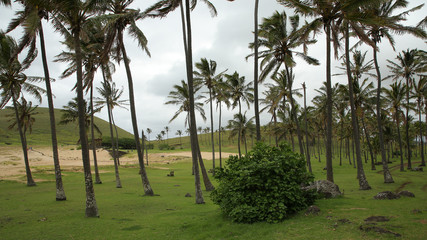 Fototapeta premium Playa de Anakena, Isla de Pascua, Chile