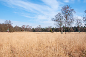 Niederlande Landschaft