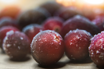 Many frozen cranberries. Closeup of red berries in hoarfrost.