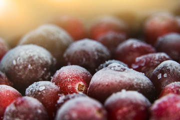 Many frozen cranberries. Closeup of red berries in hoarfrost.