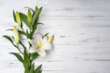 composition of white lilies on a light wooden background . - obrazy, fototapety, plakaty