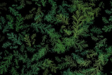 Fototapeta na wymiar Colorful botanical illustration background. Leaf wallpaper