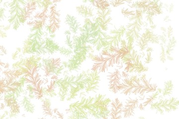 Colorful botanical illustration background. Leaf wallpaper