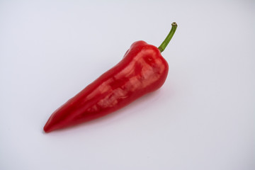 red pepper on a white background