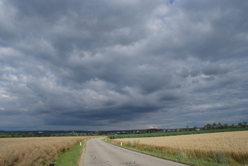 Fototapeta na wymiar Dunkle Wolken über Kornfeld