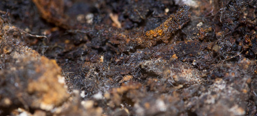 closeup of artificial dirt