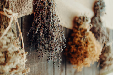 Various herbs hang to dry on a wooden wall