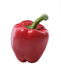 red pepper on a white background