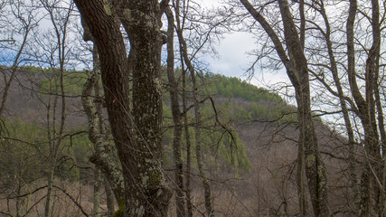 Beautiful forest of Medven located in South-East Bulgaria. In the park there is the famous waterfall "Sini Vir".