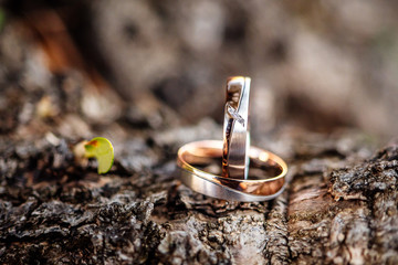 Wedding Ring symbol of love and human relationships commitment