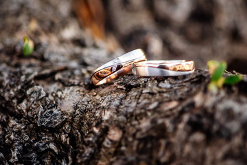 Wedding Ring symbol of love and human relationships commitment