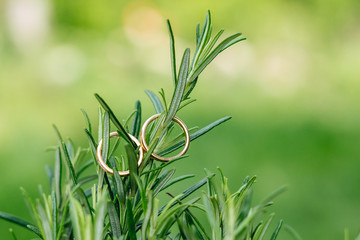 Wedding Ring Gold romantic sign of love and engagement