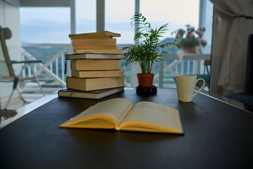  Black table with a cup, a plant and some books. A large background window.