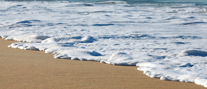 Ecume de mer en bord de plage