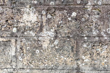 texture of old wall for backgrounds