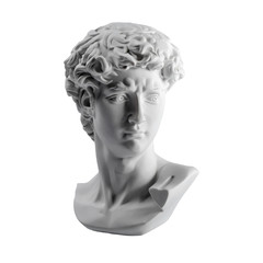 Gypsum statue of David's head. Michelangelo's David statue plaster copy isolated on white background. Ancient greek sculpture, statue of hero - obrazy, fototapety, plakaty