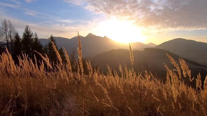 Peaceful sunrise over mountains landscape and dry grass - Powered by Adobe