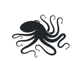 Octopus logo. Isolated octopus on white background