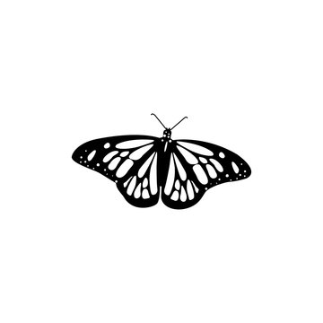 Vector butterfly illustration with patterns
