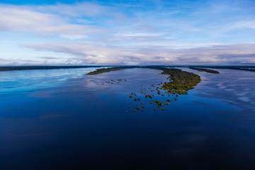 Images of trees submerged in the river, taken during a helicopter flight over the Amazon rainforest in the Anavilhanas archipelago.
