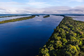 Fotobehang Images of trees submerged in the river, taken during a helicopter flight over the Amazon rainforest in the Anavilhanas archipelago. © Carlos Grillo