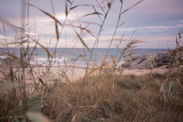 Obraz premium Batz - dune