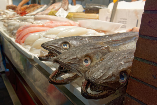 Fish on market display