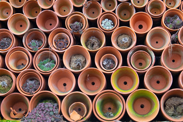 Stack of clay ceramic flowerpots laying on the side with succulent plants growing out of some