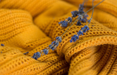 Lavender flowers on yellow sweater