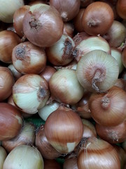 Collection of onions sold in the market in the morning.
