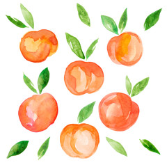 Watercolor illustration hand made peaches with leaves painted as  summer organic fruit set