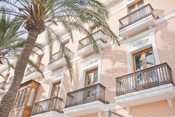 Ibiza - L'hôtel et le palmier