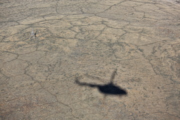 Helicopter shadow on tundra landscape in summer, Taymyr peninsula, aerial view