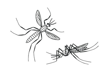 A set of mosquitoes. eps10 vector stock illustration. hand drawing