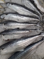 Fresh fish collection at the fish market in the morning.