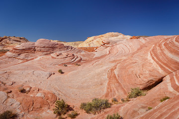 Fire wave with swirly layers of deposited sandstone during wonderful sunny day with blue sky, in Valley of Fire State Park, Nevada, USA