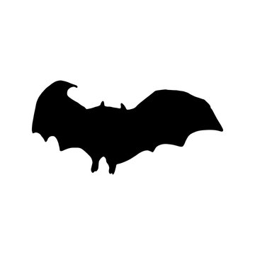 Black silhouette of bat. Vector illustration isolated on white background. Night vampire. Halloween decorative element. Scary monster.